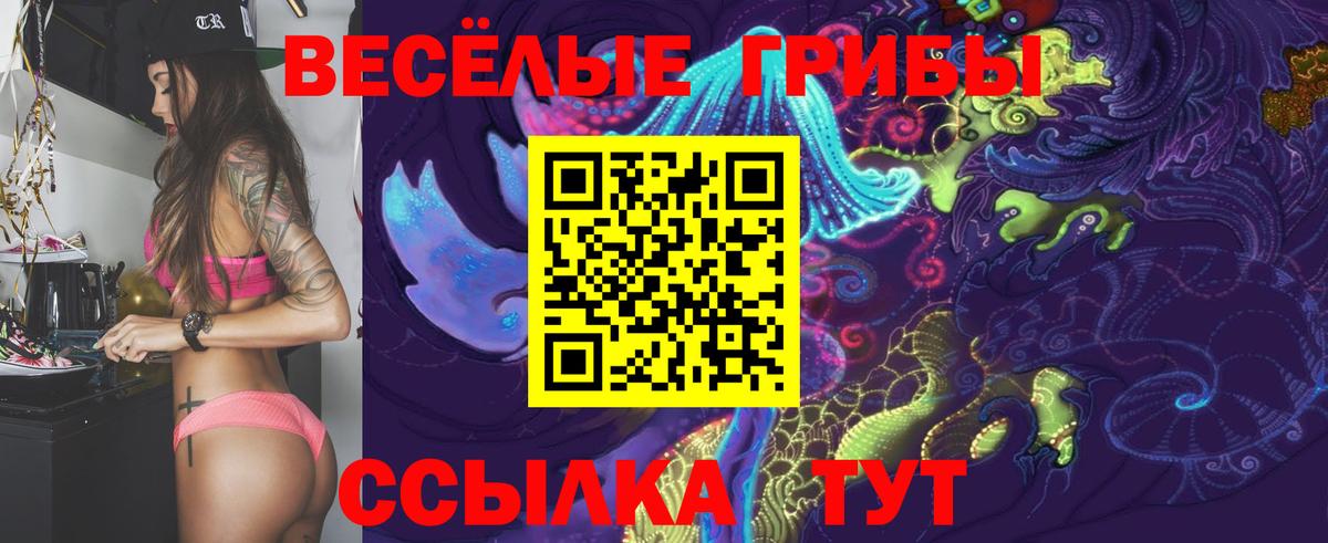 Галлюциногенные грибы Psilocybe Томск