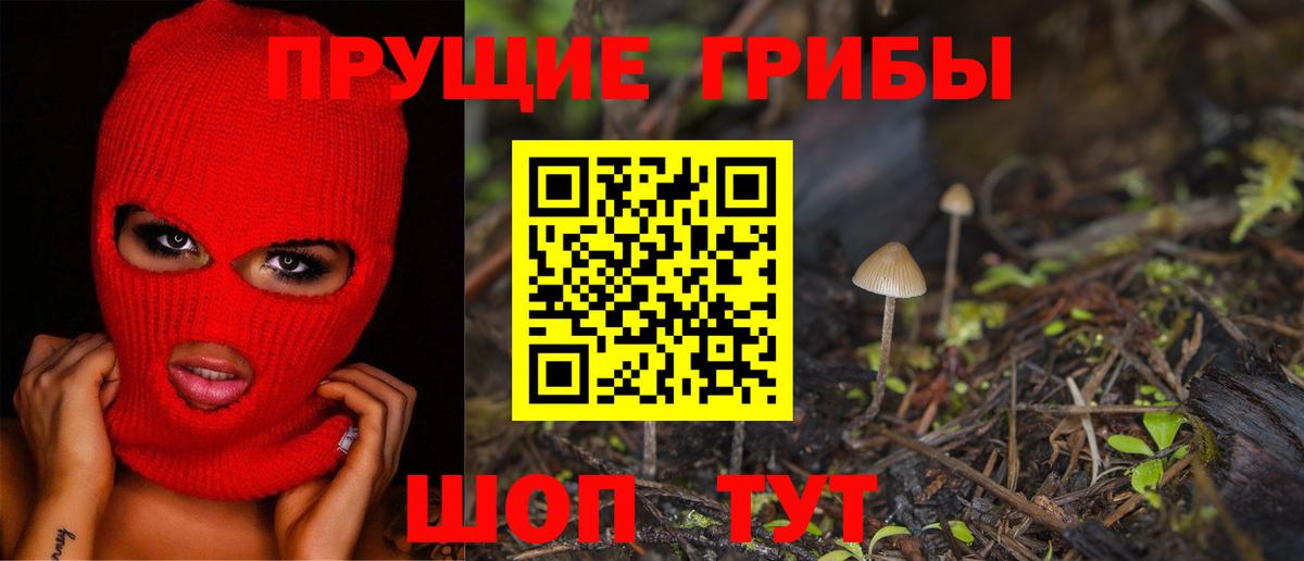 Псилоцибиновые грибы MAGIC MUSHROOMS  Галлюциногенные грибы Psilocybine cubensis  Вход с VPN  Томск 